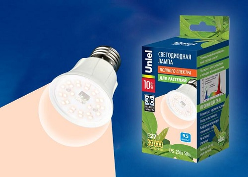 Фито-лампа светодиодная для растений Uniel LED-A60-10W/SPFR/E27/CL PLP01WH 10Вт 220В Форма "A" фото Фито-лампа светодиодная для растений Uniel LED-A60-10W/SPFR/E27/CL PLP01WH 10Вт 220В Форма "A" картинка